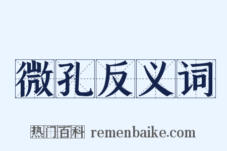 微孔反义词是什么意思的图片